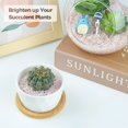 thumbnail image 2 of Vidrio decorativo, astillas, piedras, cuarzo triturado T4U, 900 g, 2 of 7