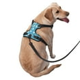 thumbnail image 3 of Bingfone Cute Healthy Teeth No Pull Dog Vest Harness For Small Medium Large Dogs Strap For Puppy Walking,Training,Dog Harness-Medium, 3 of 9