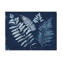 Trademark Fine Art 'Nature By The Lake - Ferns II' Canvas Art by Piper Rhue