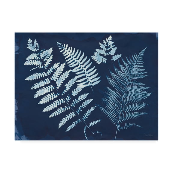Trademark Fine Art 'Nature By The Lake - Ferns II' Canvas Art by Piper Rhue