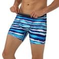 thumbnail image 3 of Picia Ice Blue Stripes Pattern Men's Athletic Long Leg Briefs , Performance Stretch Underwear，Moisture-Wicking, 3 of 7