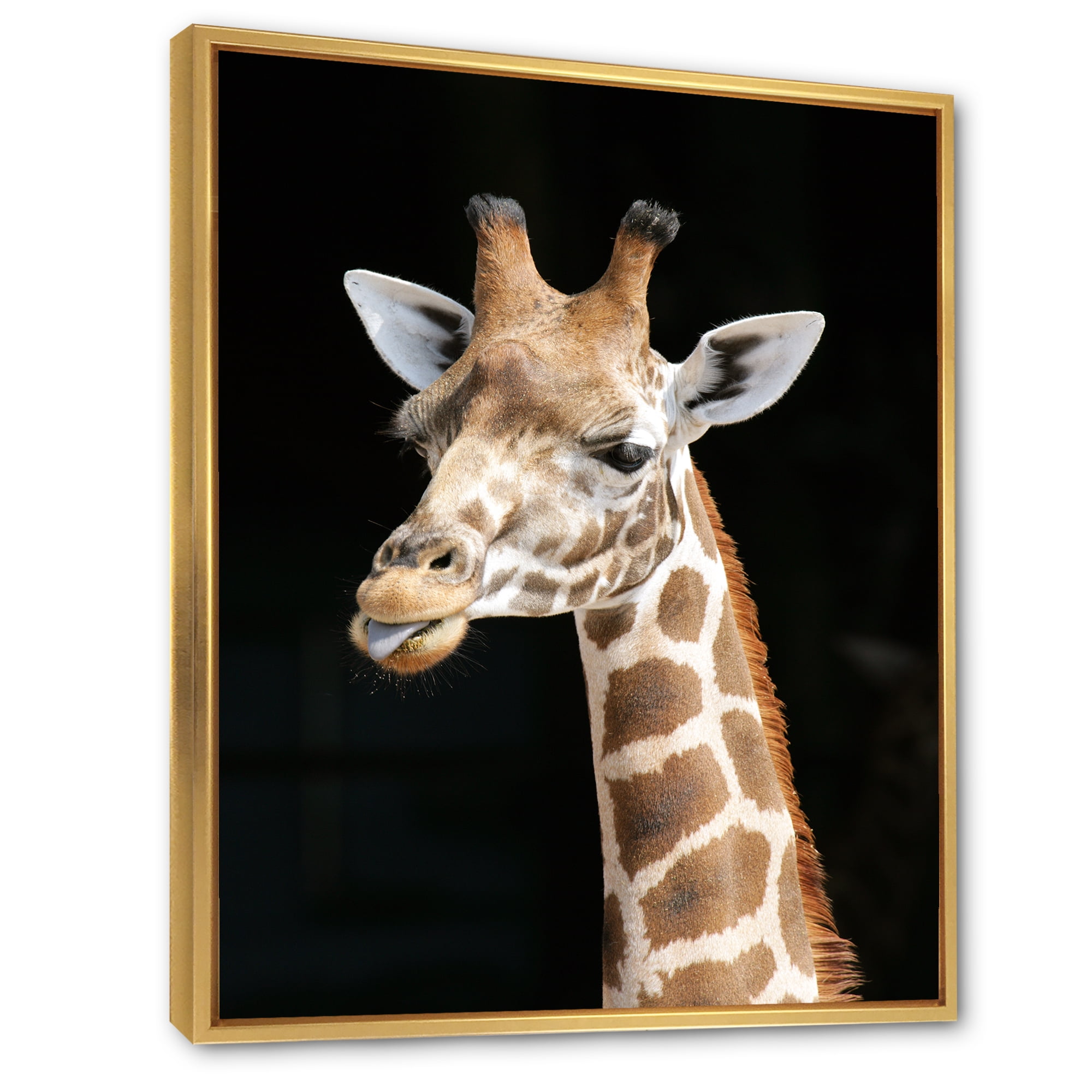 Designart 'Close Up Portrait Of A Giraffe On Black III' Farmhouse Framed Canvas Wall Art Print