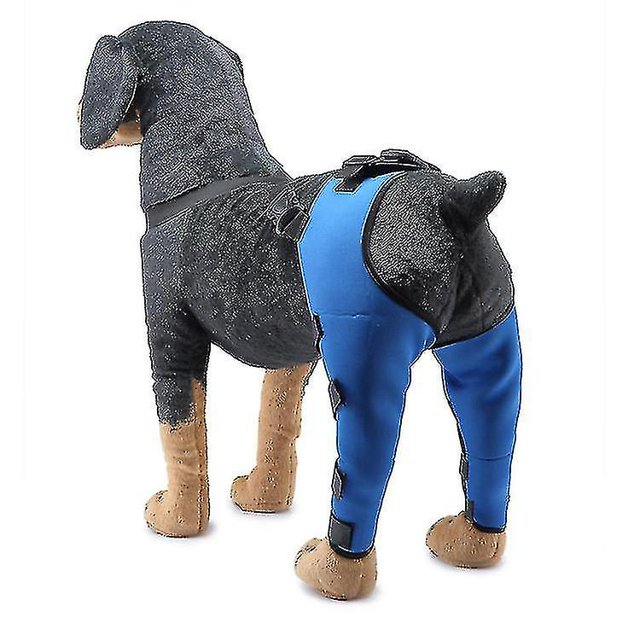 Double Rear Leg Protection Dog Knee Brace For Acl Knee Cap Dislocation Arthritis Keeps The Warm Extra Support Z