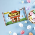 thumbnail image 3 of REESE'S Peanut Butter Carrots, Individually wrapped, kosher certified, 158g, 3 of 7