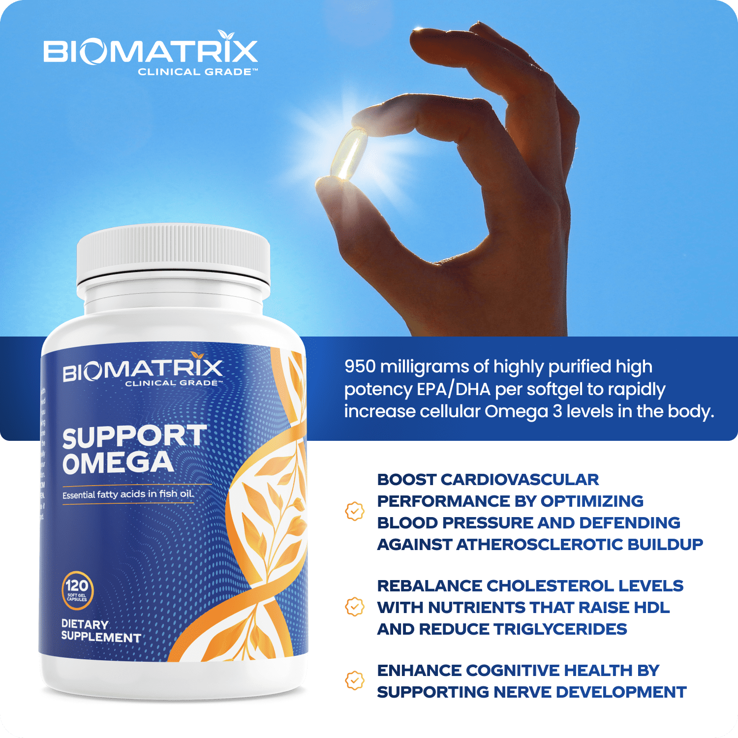 BioMatrix Support Omega - Omega 3 Fish Oil - Cardiovascular, Musculoskeletal Support, 120 Caps