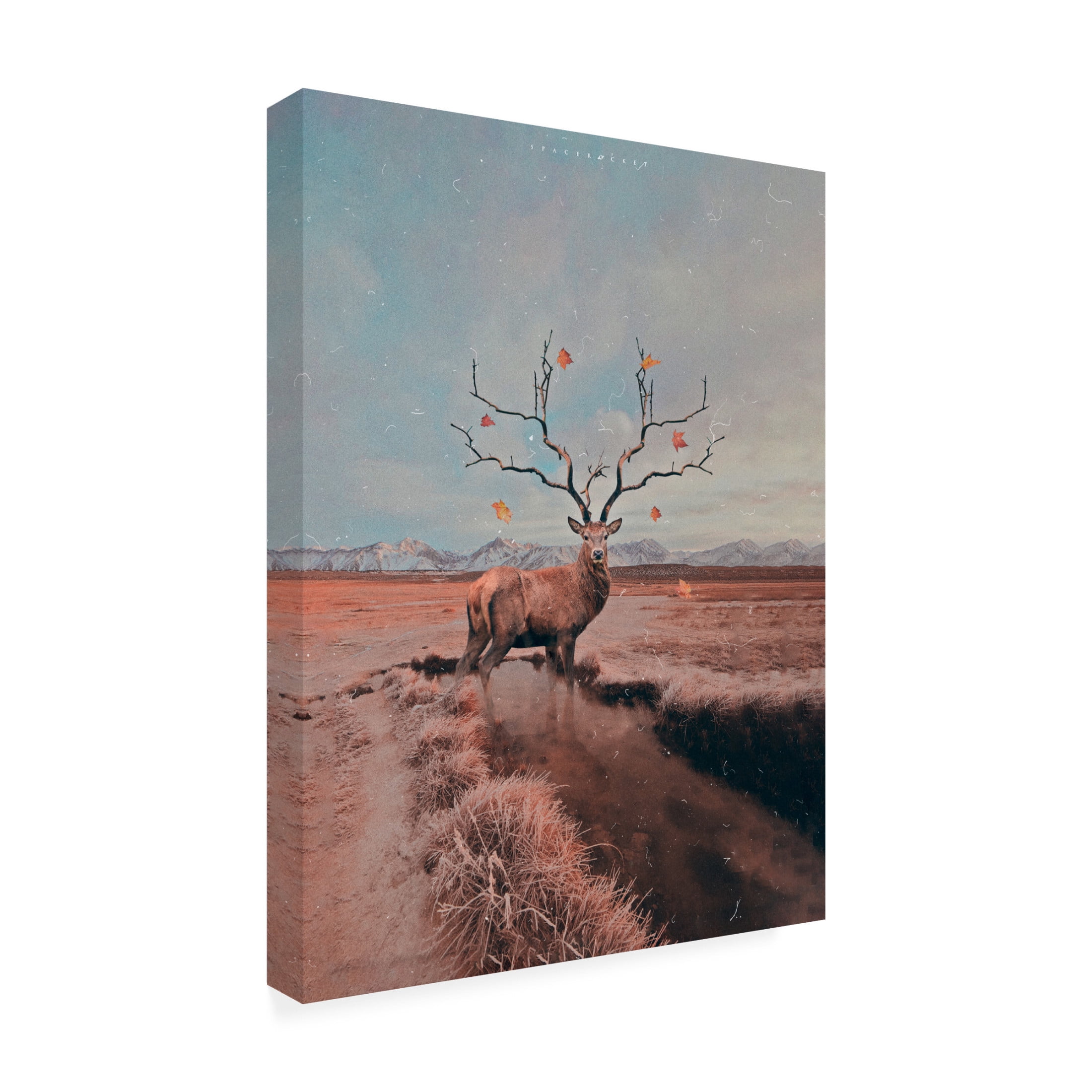 Trademark Fine Art spacerocket art 642 Canvas Wall Art