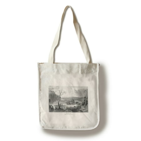 Harper's Ferry, West Virginia - View of the Town from the Blue Ridge (100% Cotton Tote Bag - (Best Small Towns In West Virginia)