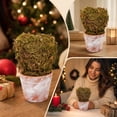 thumbnail image 4 of Fmbmuo Christmas Decor Creative Mini Tree Heart Shaped Desktop Ornament Festive Potted Decor for Desk and Shelf Ornaments,Green, 4 of 5