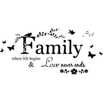 Family Decor Letters DIY HOME Family Letter Quote Removable Vinyl Decal Art Mural Home Decor Wall Stickers by Meco ()
