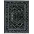 thumbnail image 2 of Safavieh Adirondack Xavier Oriental Area Rug, Black/Ivory, 9' x 12', 2 of 14