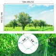 thumbnail image 1 of Father's Day Gifts Kcavykas Tools,decor,Outeers,Orchard Protective Net Green Bird-Proof Net Polyethylene Bird-Proof Net, 1 of 2