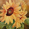thumbnail image 1 of Cuadros Decorativos 5D DIY diamante pintura completo redondo taladro girasol decoración Rhinestone arte manualidades JShteea Nuevos Originales, 1 of 8