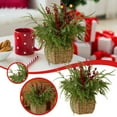thumbnail image 1 of BotaniNest Vert et Rouge Adapté, 1 of 4