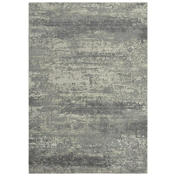 Alora Decor Radiant 5' x 8' Abstract Gray/Ivory Hybrid Area Rug