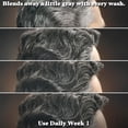 thumbnail image 5 of Just For Men Control GX , Grey Reducing 2 in 1 Shampoo & Conditioner 4 oz 1 ea (Pack of 3), 5 of 7