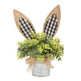 thumbnail image 1 of Bohemian Rabbit Ear Handwoven Natural Rattan Easter Home Planter for Indoor, 1 of 7