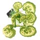 thumbnail image 1 of unbranded Planta De Acuario Artificial Para Y En Peceras, 1 of 6