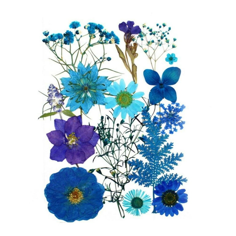 Baywell 15Pcs Dried Flowers for Resin Molds, Natural Dried Pressed
