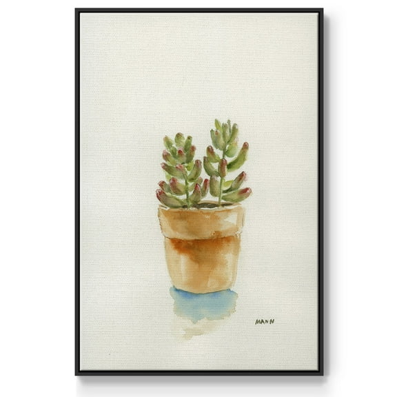 Succulent III Framed Premium Gallery Wrapped Canvas - Ready to Hang - 17 x 25 - Black Floating Frame