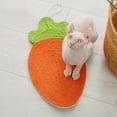 thumbnail image 5 of Reheyre Cat Scratching Pad Watermelon Carrot Shape Grinding Claws Adorable Sisal Kitten Fruit Scratcher Mat Cats Supplies, 5 of 8