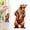 P, variant on Goowood Suncatcher Sun Catcher Window Hanging Animal Bear Decorative Hanging Ornaments for Indoor Window Garden Home Decor Gift for Women