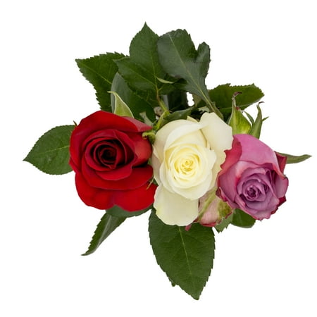 Mother's Day 3 Stem Roses (Fresh Cut Flowers)