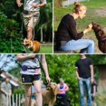 thumbnail image 5 of Bolsa de silicona para premios de perro con clip, recipiente portátil para comida de perro para entrenamiento, práctico cierre magnético y clip para la cintura, silicona de grado alimenticio sin BPA -, 5 of 5