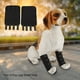 thumbnail image 1 of Soporte para patas de perro NikouMX 1 par de protectores de rodillas para perros negro, 1 of 8