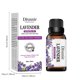 thumbnail image 3 of Teissuly Essential Oils -100% Natural Essential Oils - Perfect for Diffuser, Humidifier,Aromatherapy, Massage,Skin & Hair Care, DIY Candle and Soap Making 30ml Teissuly WER202401221218, 3 of 7