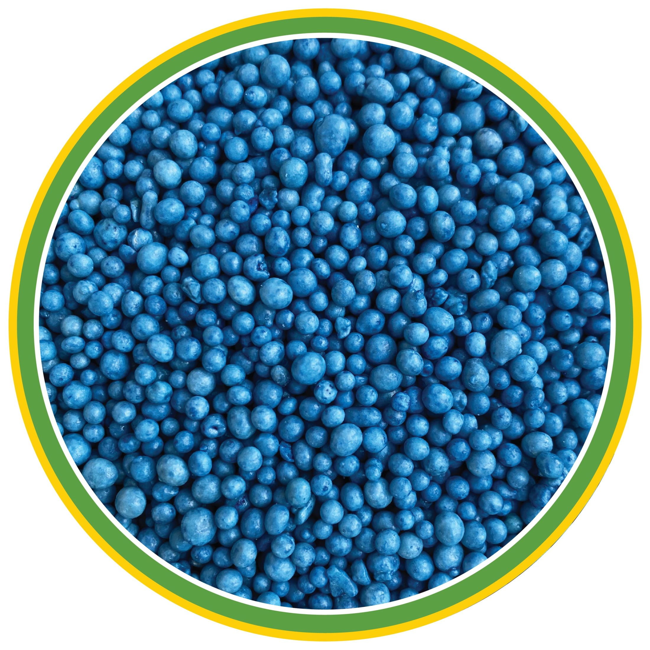 Expert Gardener Indoor & Outdoor Plant Food 19-6-12 Fertilizer, Feeds up to 6 Months; 2 lb.
