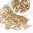 thumbnail image 1 of FGB Plated Glass Seed Beads For Nail Art Decoration Accessories No Hole/Undrilled Chips Wheat 2.0~5.0mm about 450g/bag, 1 of 2