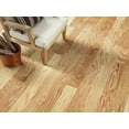 thumbnail image 5 of Shaw Sw695 Timeless Oak 5" Wide Smooth Engineered Hardwood Flooring - Natural, 5 of 5