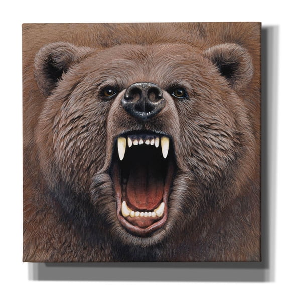 Epic Graffiti 'Bear 2' by Harro Maass, Canvas Wall Art, 37"x37"