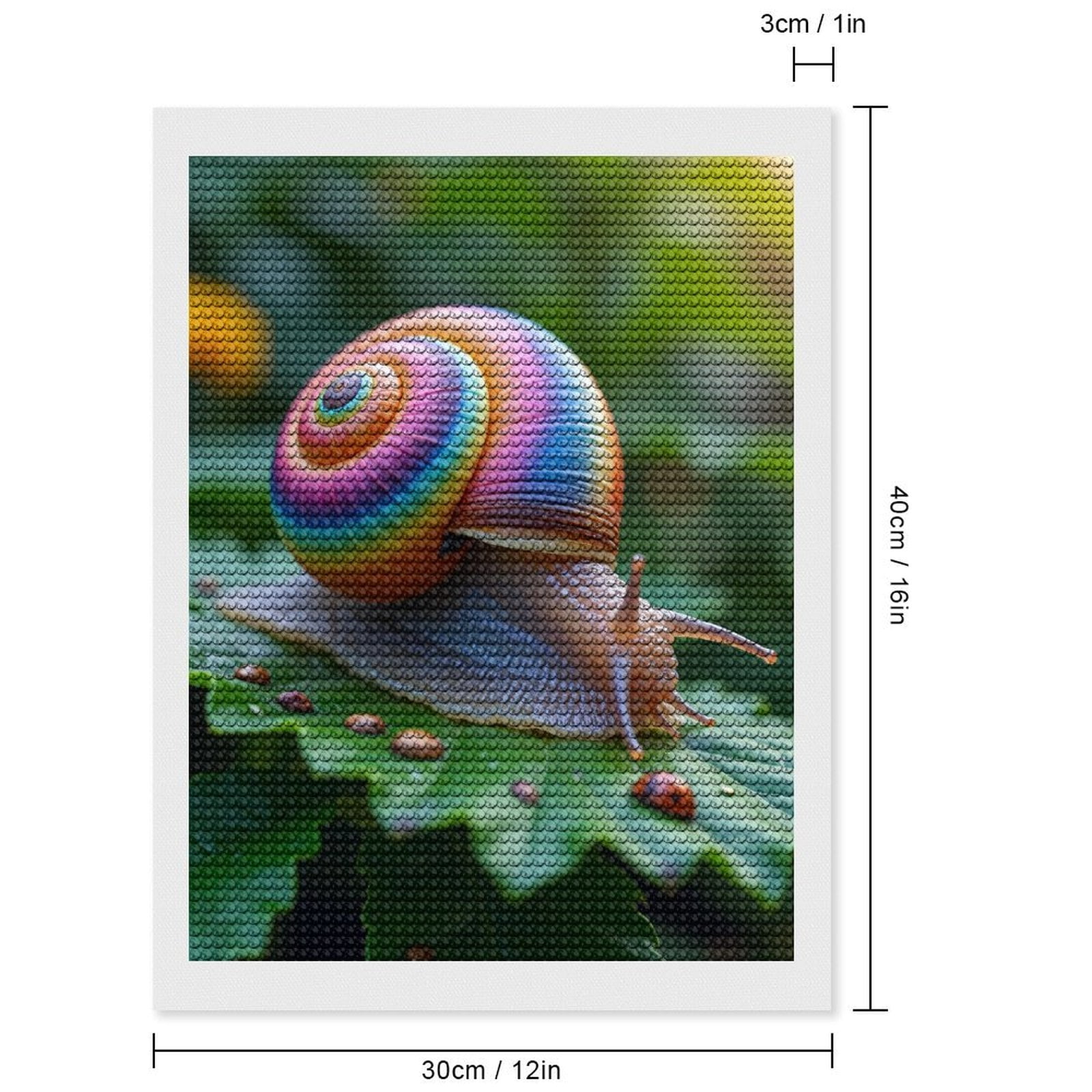 Diamond Art Kits for Adults, Rainbow Snail Leaf Garden Nature 5D Diamond Painting Kits for Adults Beginners, DIY Full Drill Diamond Painting, Gem Art and Crafts 12x16
