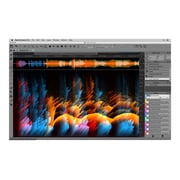 SpectraLayers Pro - (v. 3) - license - 1 user - ESD - Win, Mac
