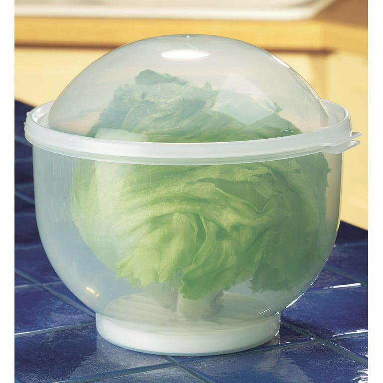 Lettuce Keeper Vegetable and Fruit Crisper - by Home-X