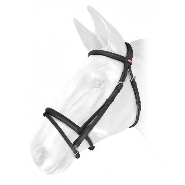 Whitaker Prêt à Rouler Cheval en Cuir Huilé Bride Flash