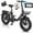 Black, variant on 750W Folding Electric Bike for Adults, 16"x4.0 E-Bike with Front Basket, 48V 13AH Removable Battery, Adjustable E-Mountain Bike, UL2849 Certified, White