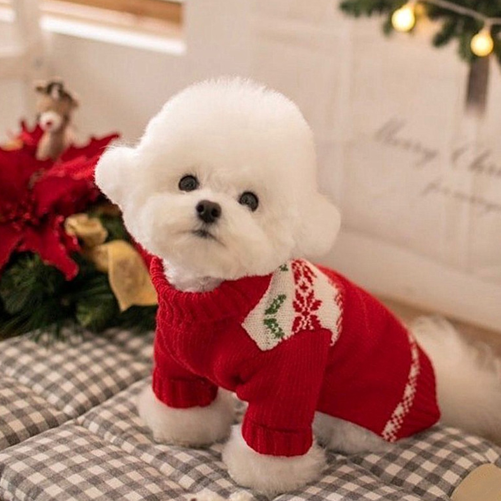 Are Dogs Happier When There Are Two