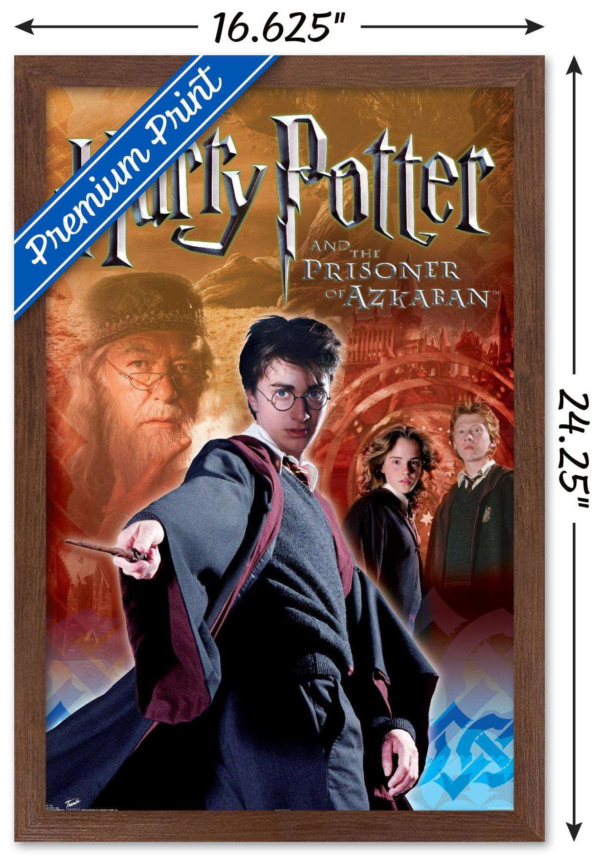 Harry Potter and the Prisoner of Azkaban - Team Wall Poster, 14.725" x 22.375", Framed