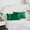Green, variant on Hmgxay 2 Pack Satin Pillowcases for Hair and Skin, Soft Satin Pillow Covers, Luxurious Satin Pillow Protectors, Comfortable Satin Pillowcase Set(White)