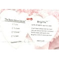 thumbnail image 4 of Ty Beanie Babies Brigette the Pink Poodle Plush 2001, 4 of 7