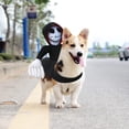 thumbnail image 5 of Disfraz De Montar Fantasma De Perro Divertido De Halloween oso de fresa Disfraces De Halloween De Gato Divertidos para Perros Novedad M, 5 of 5