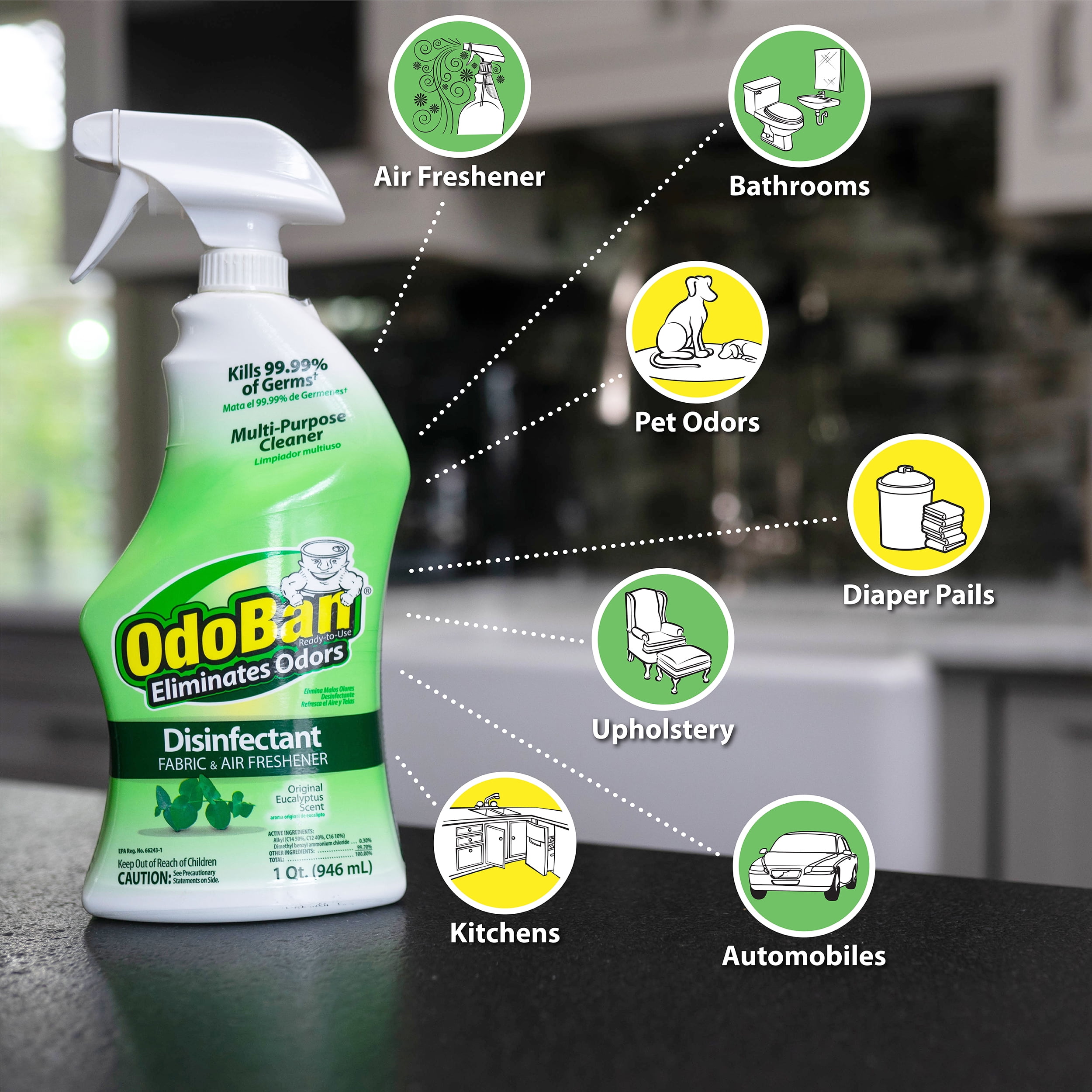 Odoban  Eucalyptus Scent Mold and Mildew Odor Eliminator  32 oz. Liquid - Case Of: 6;