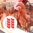 thumbnail image 4 of FENGGUIQU 1Jgo Bebedero Automático Para Gallinas Y Codornices De Plástico Para Uso Y Hogar, 4 of 8