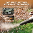 thumbnail image 3 of Litheli 20V Cordless Leaf Blower 350CFM 2-Speed Turbine Electric Blowing Leaf for Lawn, Yard, Patio, Dust & Leaves, with a 2.5Ah Portable Battery, 3 of 10