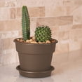 thumbnail image 2 of Bloem Dura Cotta Planter 10 in. Chocolate Brown, 2 of 6