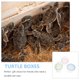thumbnail image 5 of Hytrove 3Ud Para Mascotas Pequeñas Con Plástico Resistente Para Viajes Y Paseos, 5 of 5