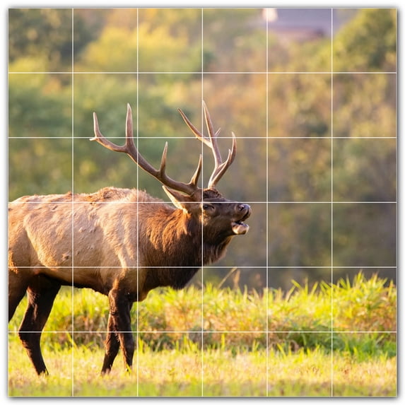 Picture-Tiles.com: Deer Ceramic Tile Wall Mural WAL500440-66XL. 72"W x 72"H using (36) 12" x 12" Ceramic Tiles-Satin Finish