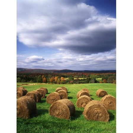 Farm Hay Bales in Field, Westmore, Vermont, USA Print Wall Art By Adam